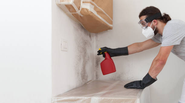 Professional Bathroom Mold Removal technician working in Hendersonville, NC