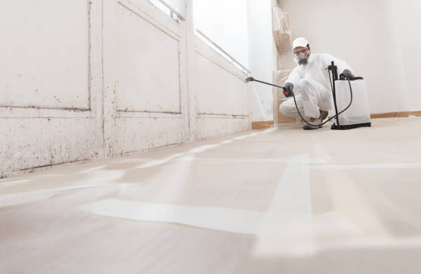 24/7 Emergency Bathroom Mold Removal experts in Hendersonville, NC