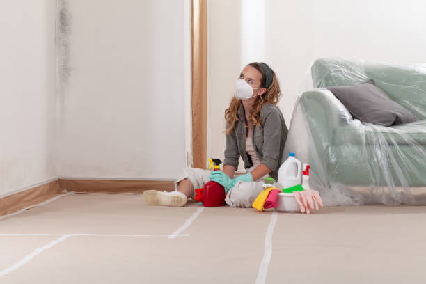 Reliable Bathroom Mold Removal contractor in Hendersonville, NC by Mold Remediation HQ